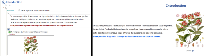 Apparence d'un extrait de document dans la fenêtre de l'éditeur SCENARI et dans sa sortie finale pour le Web